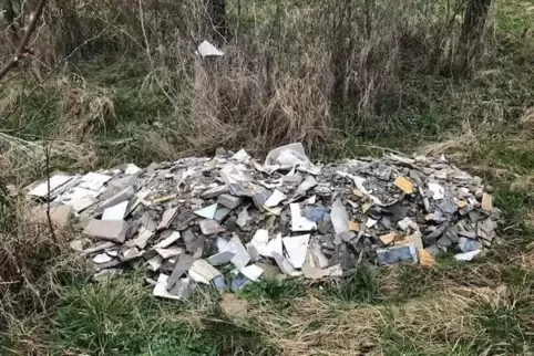 Teilweise wurde der Bauschutt auf dem Gelände einer Naturschutzstiftung entsorgt. 