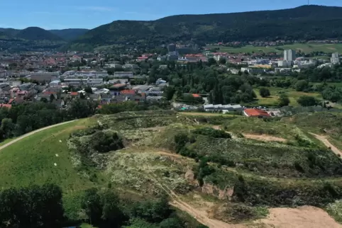 Blick von der Altdeponie auf Neustadt. 