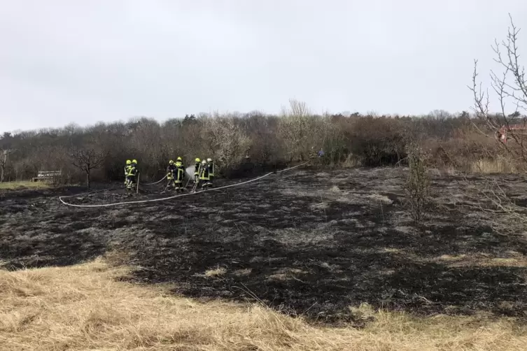 Mehrere Hundert Quadratmeter Wiese brannten.