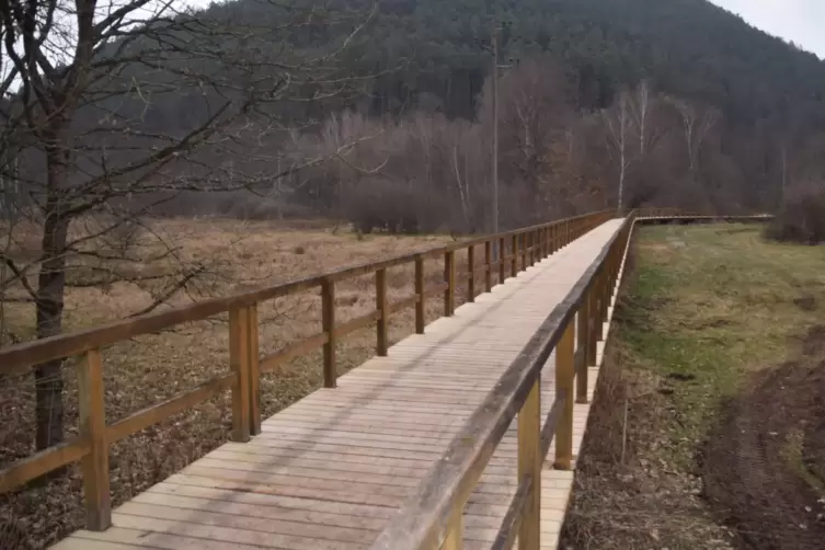 Grünes Licht für Radfahrer und Wanderer: Die Brücke durch das Naturschutzgebiet Königsbruch und über die Sauer ist wieder benutz