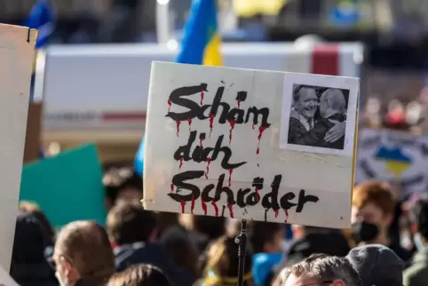 Die Beziehungen von Altkanzler Gerhard Schröder zu Russland und Präsident Wladimir Putin stoßen immer wieder auf Kritik. Vor all