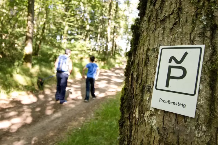 Der Preußensteig führt auf den Herzerberg bei Reichweiler zur Drachenfliegerrampe.