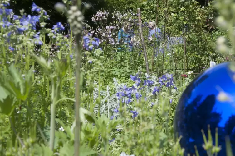 Egal ob kleiner oder großer Garten – mitnachen kann jeder mit sehenswertem Outdoorbereich. 