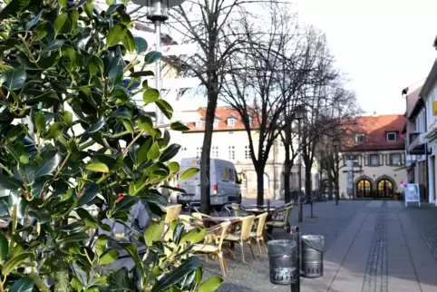 Pflanzen sollen vor Wind und Kaltluft schützen. 