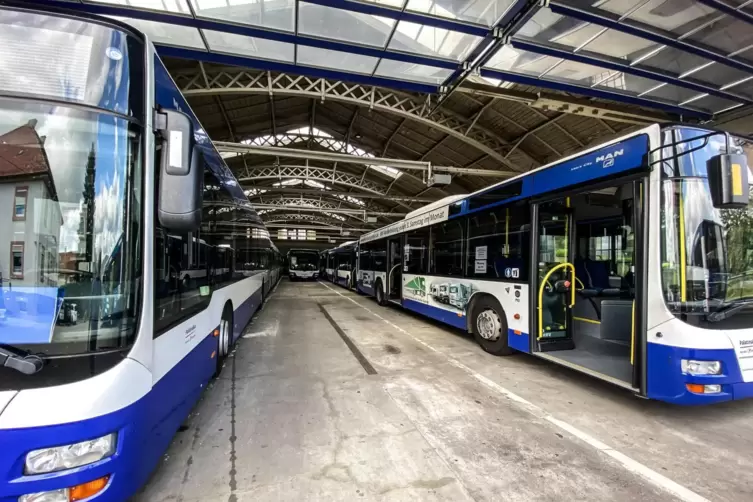 In der Vergangenheit mehrfach bestreikt: Busse der Palatina Bus GmbH in Edenkoben. 