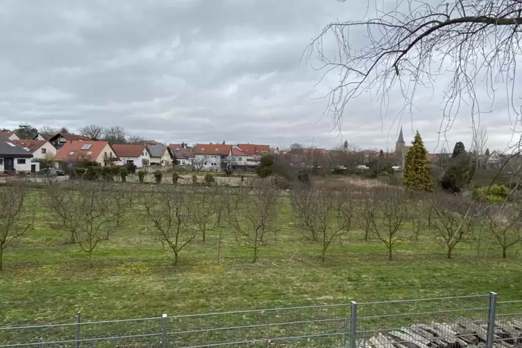 Zwischen Burg- und Friedhofstraße soll der Parkplatz mit Renaturierung des Fuchsbachs entstehen. 