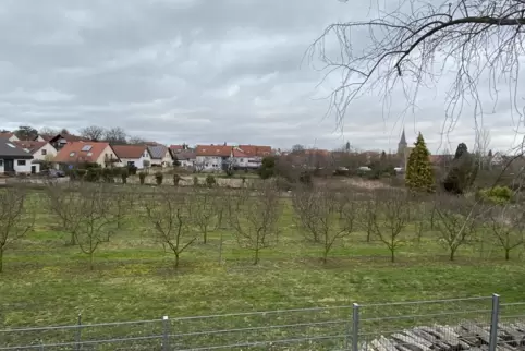 Zwischen Burg- und Friedhofstraße soll der Parkplatz mit Renaturierung des Fuchsbachs entstehen. 