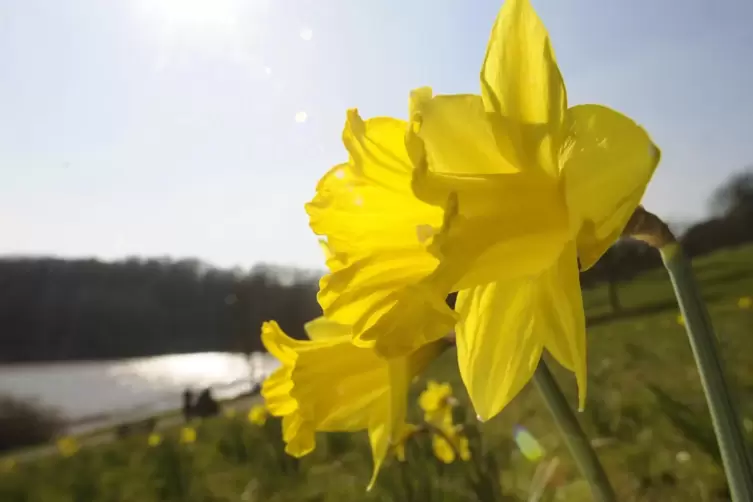 Zu Beginn der Oster-Woche wird es häufig sonnig, aber der Wochenmitte sind auch wieder Schauer möglich. 