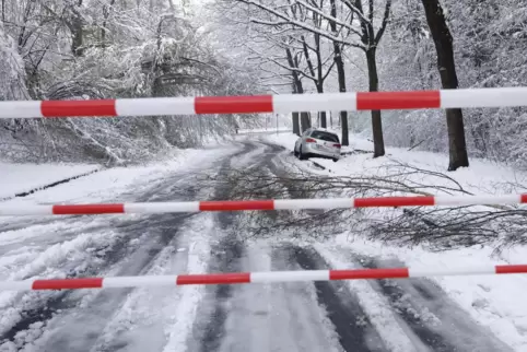 Vielerorts ging nach dem Wintereinbruch am Freitag und Samstag nichts mehr.