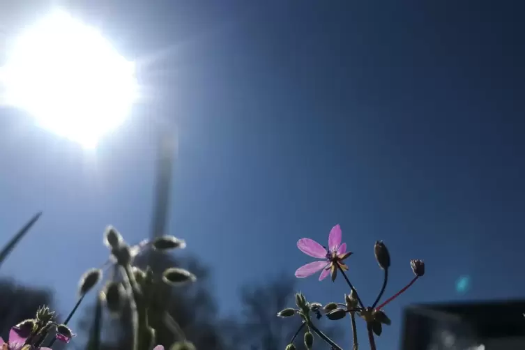 Es gibt schönes Wetter zum Eiersuchen.