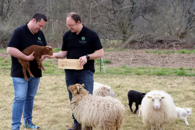 Andreas Pfaff (links) und Michael Denzer beziehen die Wolle für ihre Schafpellets von Schäfern aus der Region.