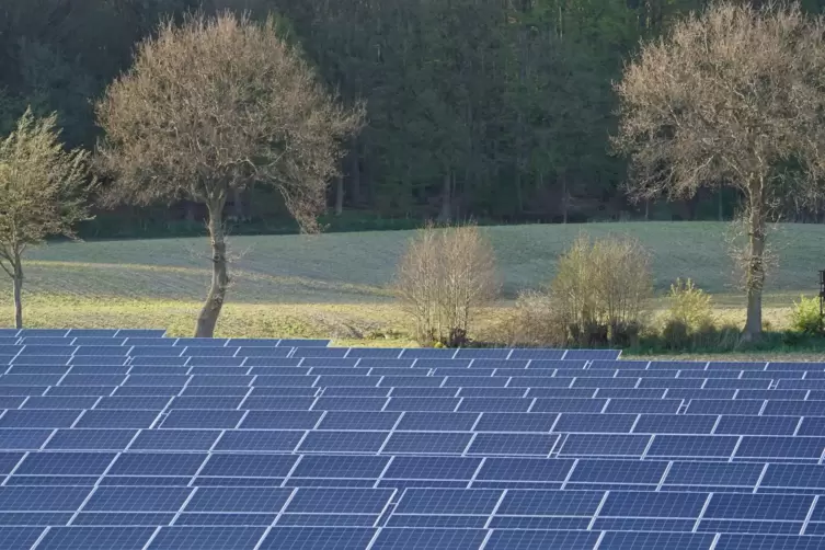 Diese Photovoltaik-Anlagen stehen in einem Solarpark neben der A7 in Schleswig-Holstein. 