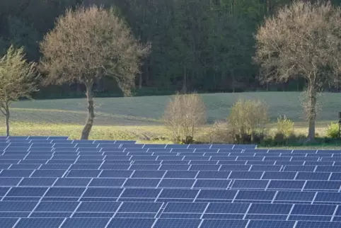 Diese Photovoltaik-Anlagen stehen in einem Solarpark neben der A7 in Schleswig-Holstein. 