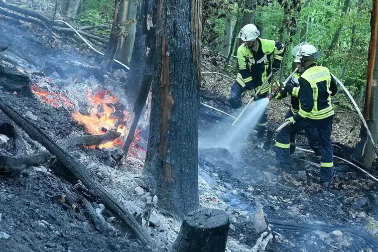 Am Boden wird der Kampf gegen das Feuer gewonnen: Löscharbeiten am Donnersberg im April 2020. 