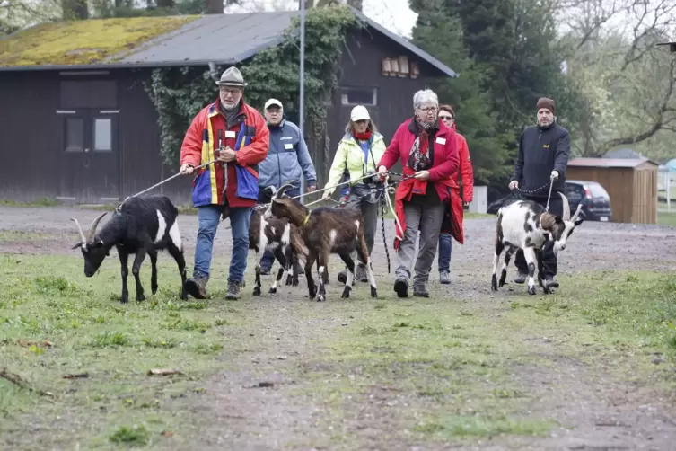 Wer es etwas tierischer haben wollte, konnte auf Ziegenwanderung mit Irene Schwarz (vorne mit roter Jacke) gehen.