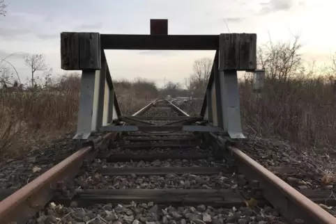 Die alte Trasse nach Germersheim bei Dammheim. 