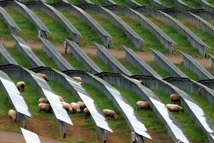 Tierhaltung und Solarzellen schließen sich nicht aus. 