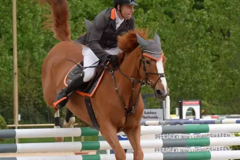 Timo Beck mit Mirabel VD Ouddeevelhoeve im Barrierenspringen. Mit ihr ist er auch im Zwei-Sterne-S-Springen angetreten. 