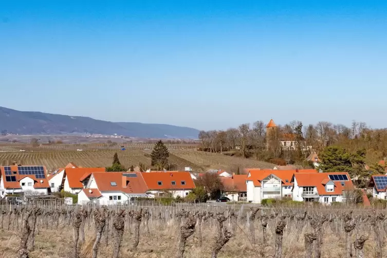 Nach WH3 wird in Wollmesheim ein neues Neubaugebiet entstehen. Wer bekommt die Grundstücke?