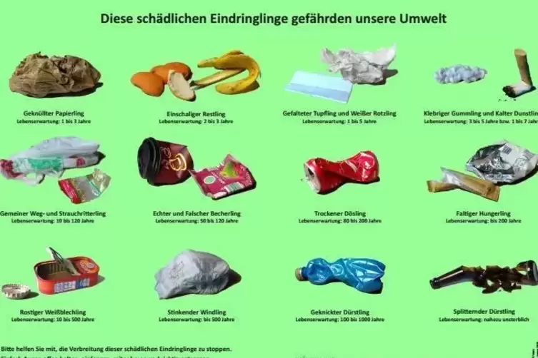 Müll gehört nicht in den Wald – darauf soll mit dieser Infotafel aufmerksam gemacht werden.