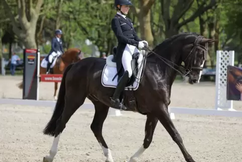 Emely van Loon (TG Gut Hartungshof Bliesransbach) gewinnt auf FBW Despereaux die S**-Prüfung beim Dressurturnier im Landgestüt.