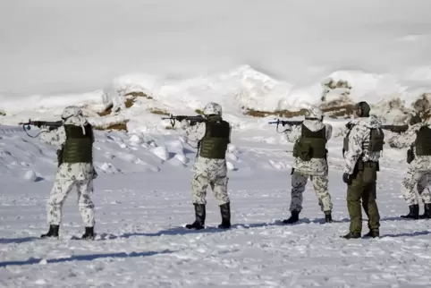 Finnische Reservisten der Karelischen Brigade bei einer Übung im März.