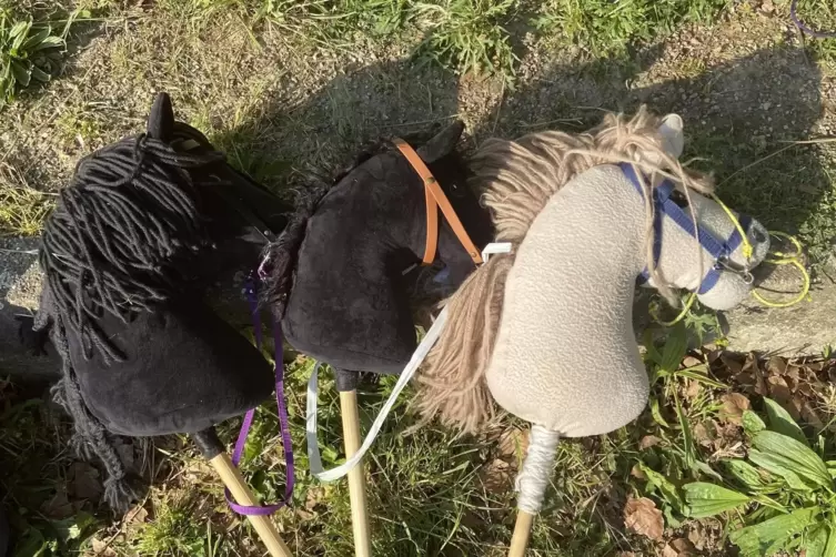 Pony am Stiel: Ohne Fury, Black Beauty und Bella läuft beim Hobby-Horse-Training des TuS Altrip nichts. 