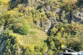 Eine besondere Lage an der Mosel, nur per Boot erreichbar: der Piesporter Erzlay.