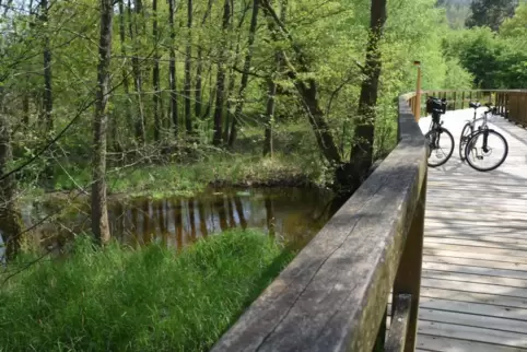 Durch idyllische Landschaften, hier auf der Brücke durchs Königsbruch, führen die Radtouren. 