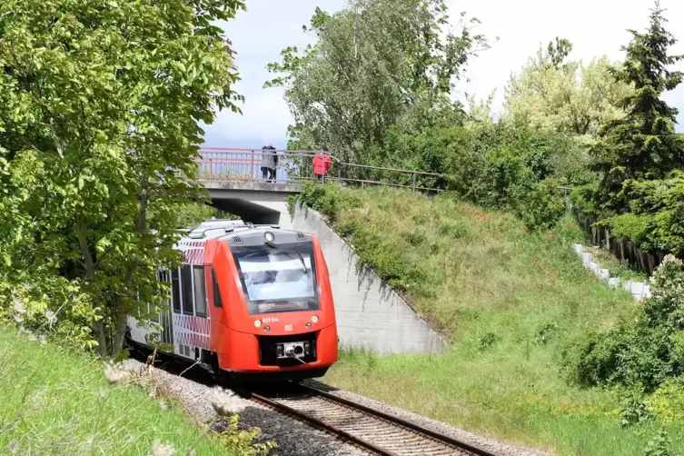 Die Holzwegbrücke könnte Verkehr aufnehmen ....