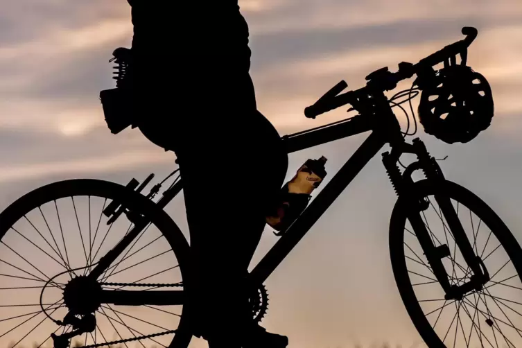 Das Interesse der Mountainbiker an legalen Routen im Wald sei riesig, sagt Forstamtsleiter Frank Stipp. 