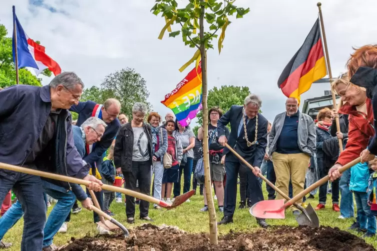 Gemeinsam wurde eine Linde als Friedensbaum gepflanzt.