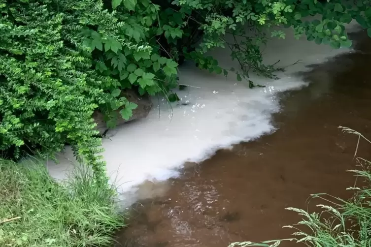 Vor zwei Jahren war der Bach schon einmal verschmutzt. 