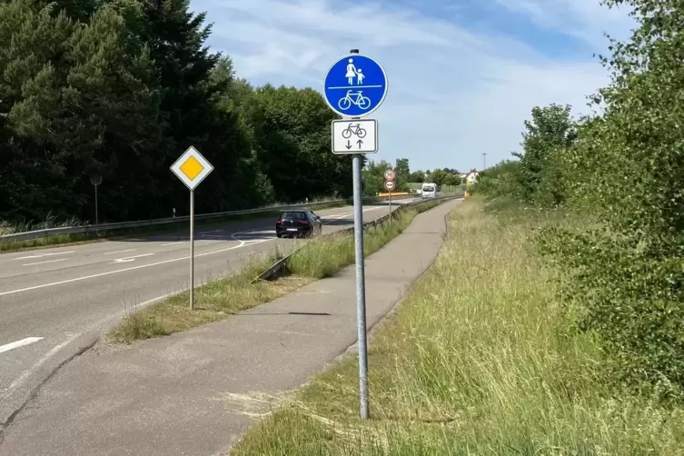 Die blauweiße Beschilderung von Radwegen ist vielfach nicht angemessen, da die Wege nicht die Voraussetzungen dafür mitbringen, 