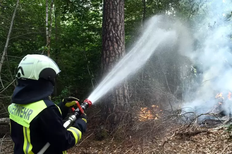 Erst Feuer gelegt, dann gelöscht: Die Feuerwehr trainierte im Wald bei Haide.