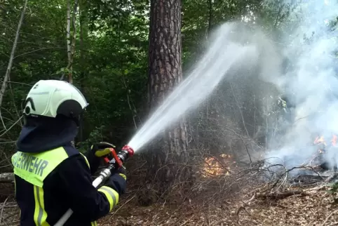 Erst Feuer gelegt, dann gelöscht: Die Feuerwehr trainierte im Wald bei Haide.