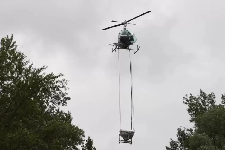 Die Stechmücken werden mit einem biologischen Mittel bekämpft. 