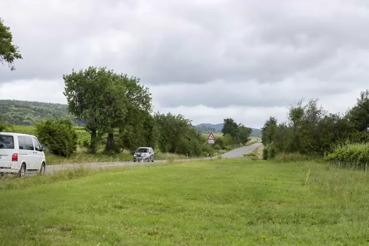 Der neue Geh- und Radweg wird östlich der B38 entlangführen. 