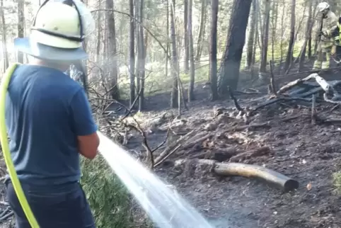 Erster Waldeinsatz bei Höningen am 14. Mai. Die Feuerwehren der VG Freinsheim und Leiningerland löschen das Feuer, müssen aber a