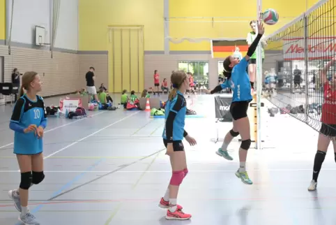 Größten Titel gewonnen: Marilu Borlinghaus, Hanna Rösch und Leni Vogel (von links) aus Heiligenstein.