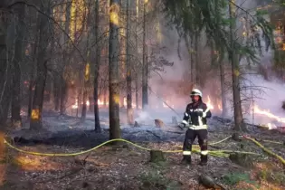 Immer wieder kam es in der Vergangenheit zu Waldbränden zwischen Höningen und Leistadt. Unser Foto ist aus dem Jahr 2019.