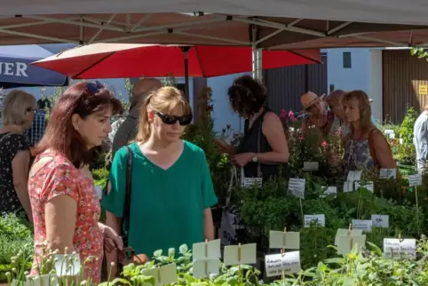 Treffpunkt: Der Markt in Kandel ist bei Kräuter- und Gartenfreunden beliebt.