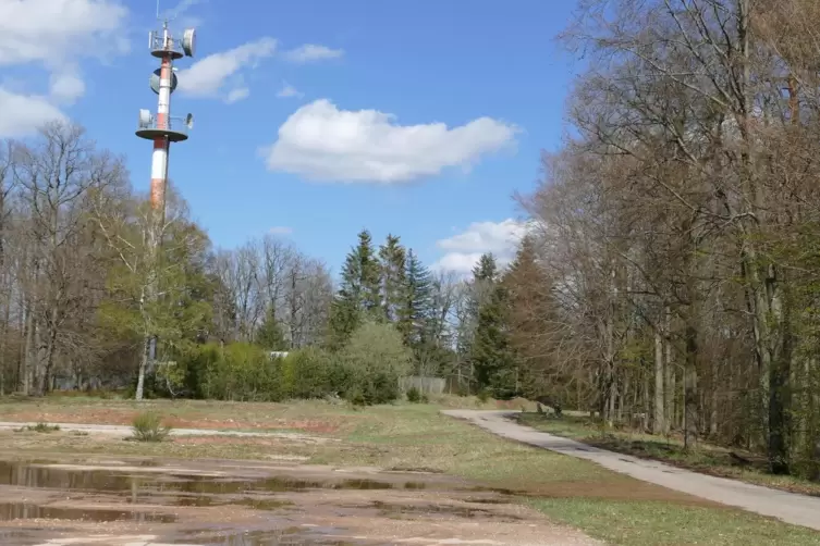 Windräder auf dem Langer Kopf könnten nach Hauensteiner Ansicht die Wertschöpfung in der Region halten. 