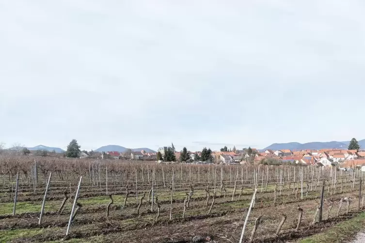 Am südlichen Ortsrand von Arzheim entsteht ein Neubaugebiet.