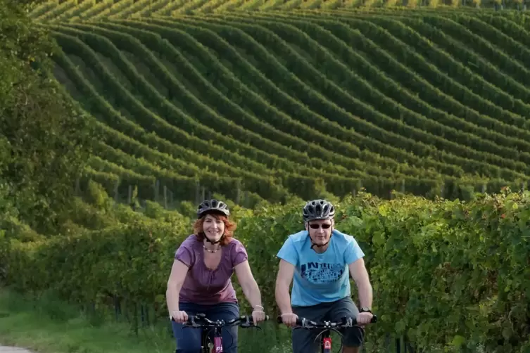 Mit dem Fahrrad durch die Weinberge.