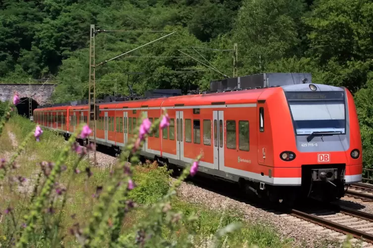 Normalerweise fahren halbstündlich S-Bahnen zwischen Kaiserslautern und Neustadt durch den Pfälzerwald. Nun werden an sechs Woch