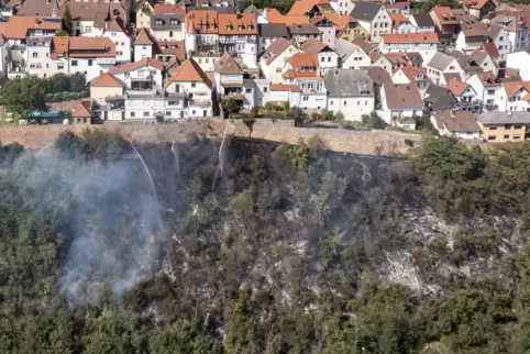 In Neuleiningen stand am Montag ein steiler Hang in Flammen. Das Feuer bedrohte das Dorf. 
