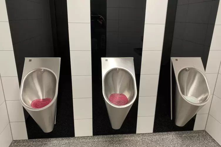 Die kommunikationsfreundliche Abteilung mit den Urinalen am Alten Messplatz in Landau. 