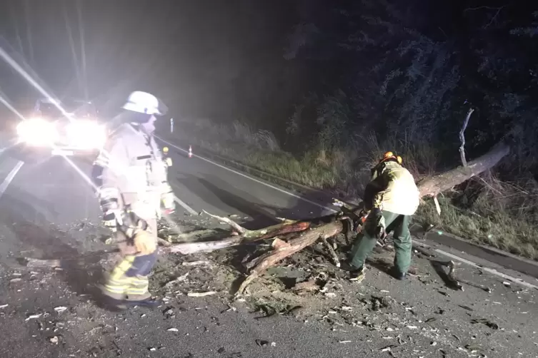 Mit einer Motorsäge rückten die Feuerwehrleute dem umgestürzten Baum auf der L382 zu Leibe.