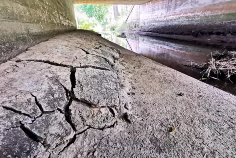 Der Schwarzbach unter der Brücke Hauptstuhler Straße ist nur noch ein Rinnsal. Die normale Wasserhöhe sieht man am Beton. 